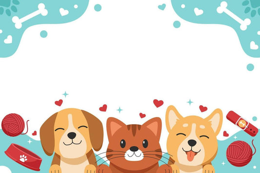must have pet products for new pet parents